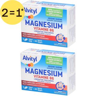Alvityl® Magnésium Vitamine B6 | Libération Prolongée - Fatigue - 45 Jours | 2=1*