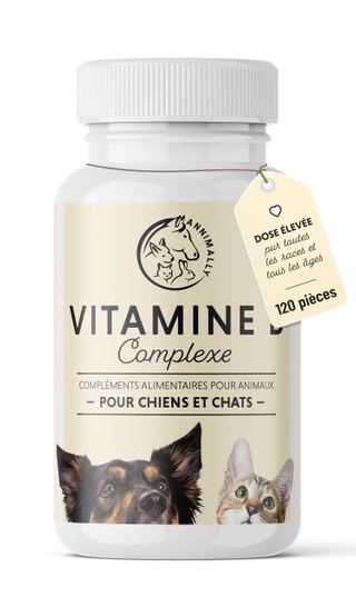 Sofcanis B12 - Vitamine B12 pour chiens et chats 40 pc(s)