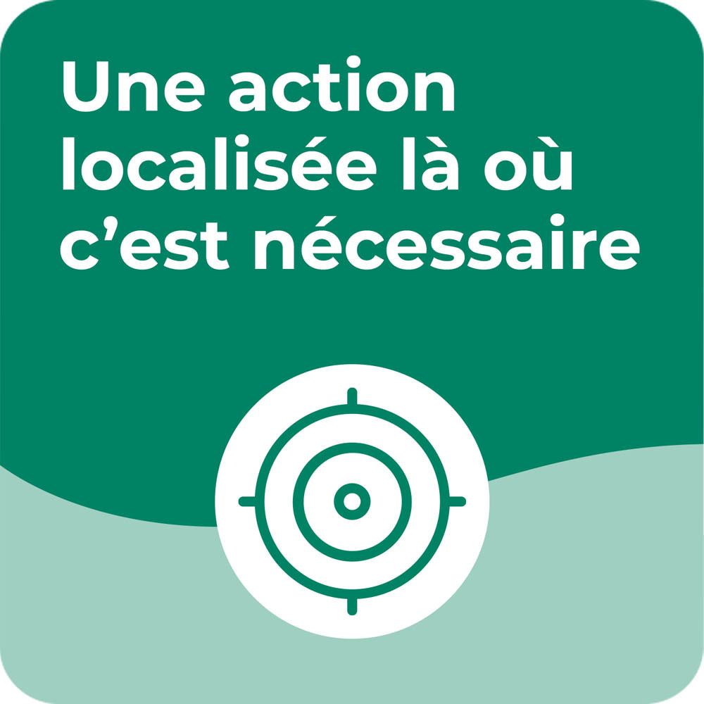Graphique : Action localisée. Symbole de cible et texte.