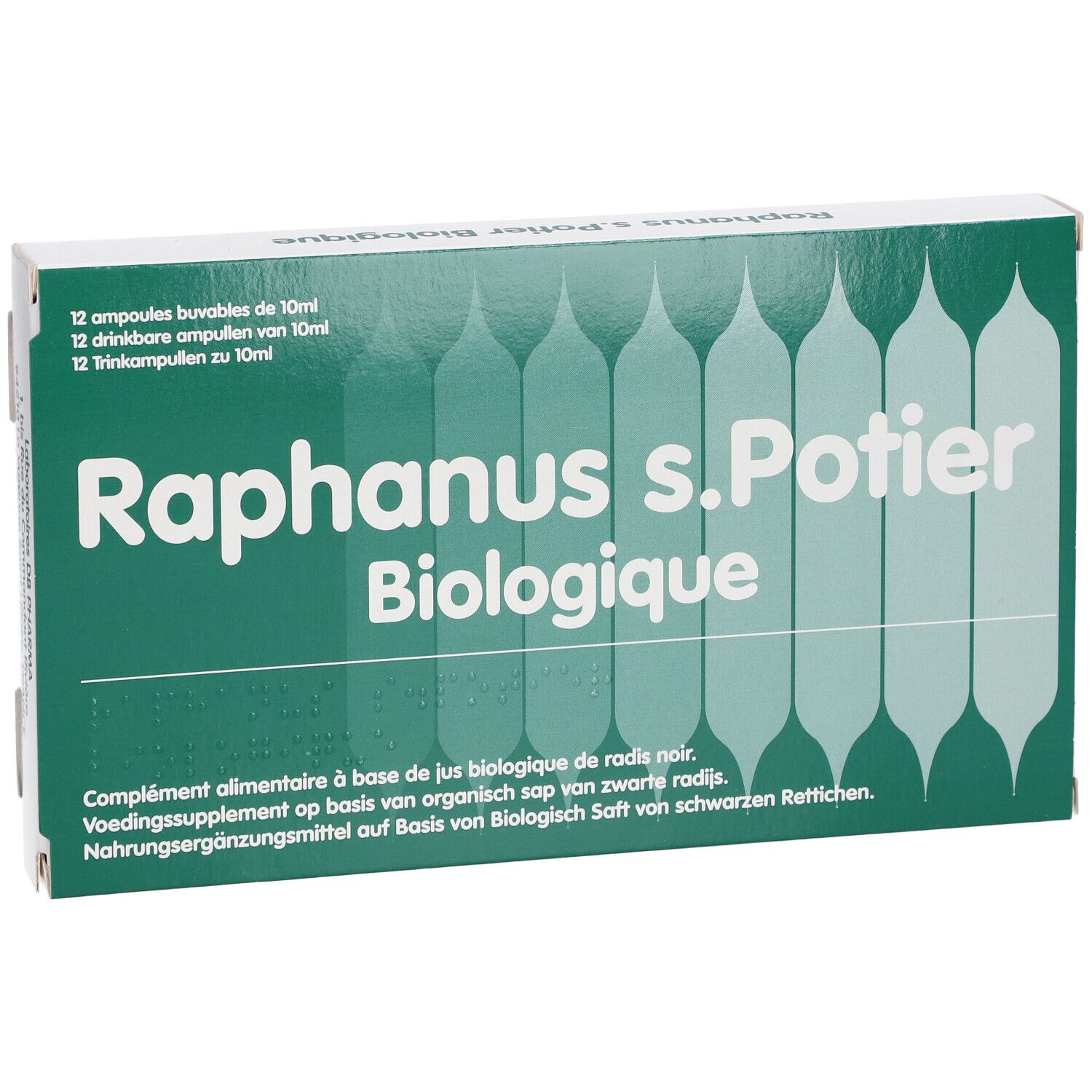 Raphanus s.Potier