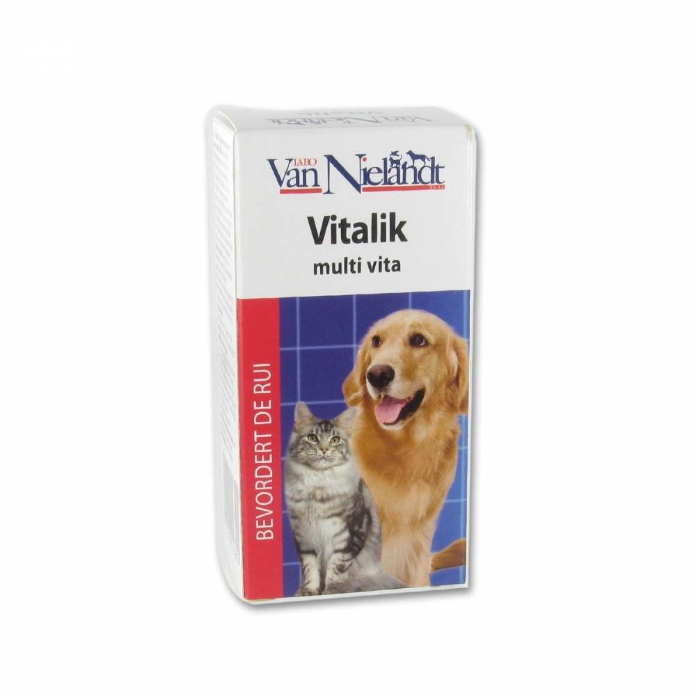 Vitalik Kat+Hond