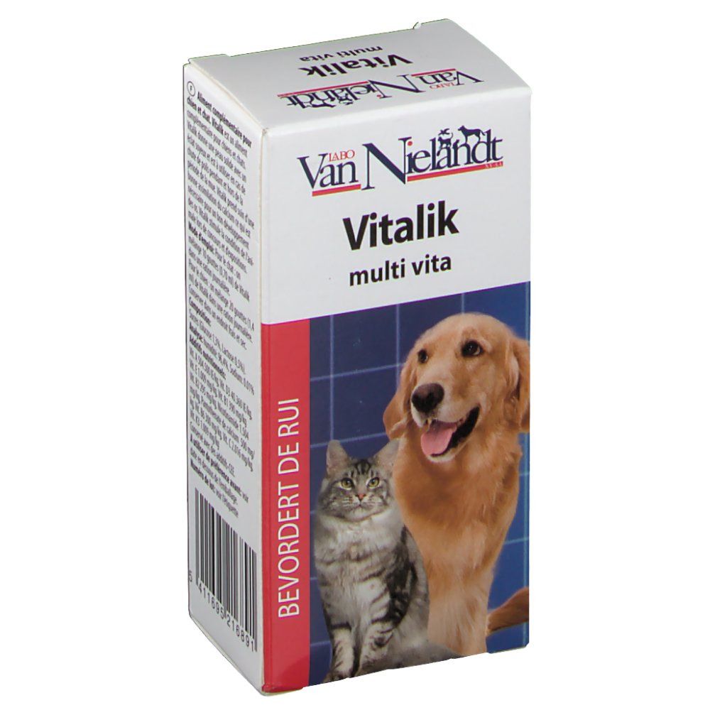 Vitalik Kat+Hond