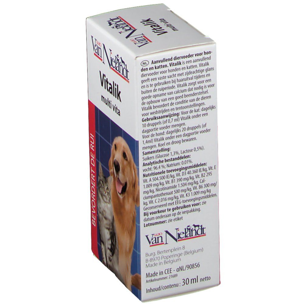 Vitalik Kat+Hond