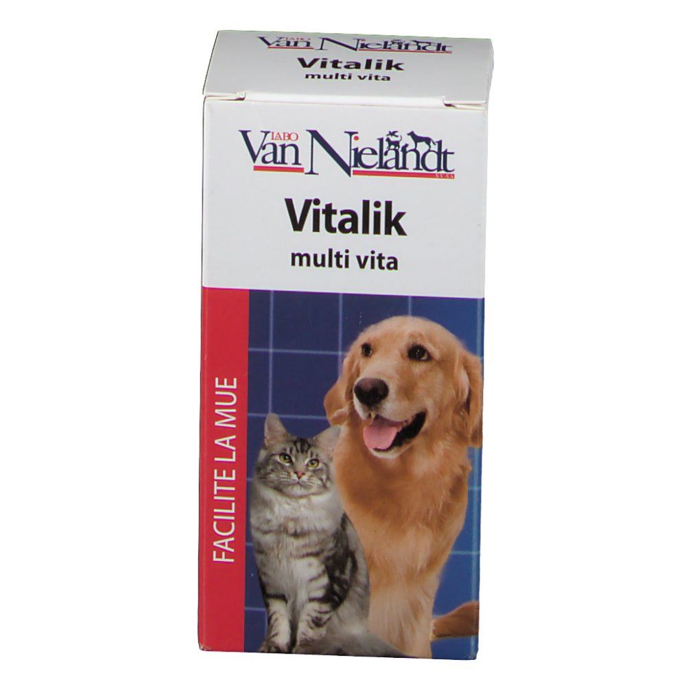 Vitalik Kat+Hond