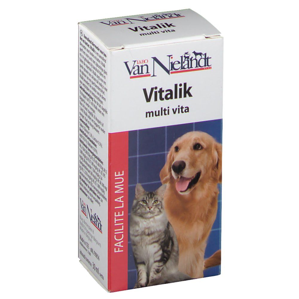 Vitalik Kat+Hond