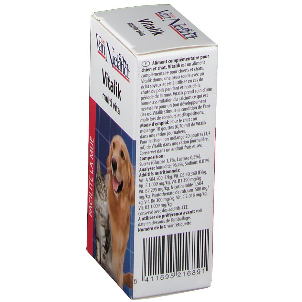 Vitalik Kat+Hond