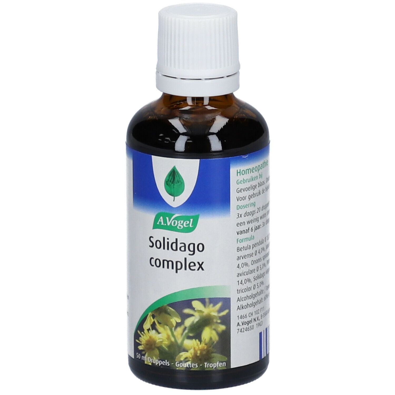 A.Vogel Solidago Complex