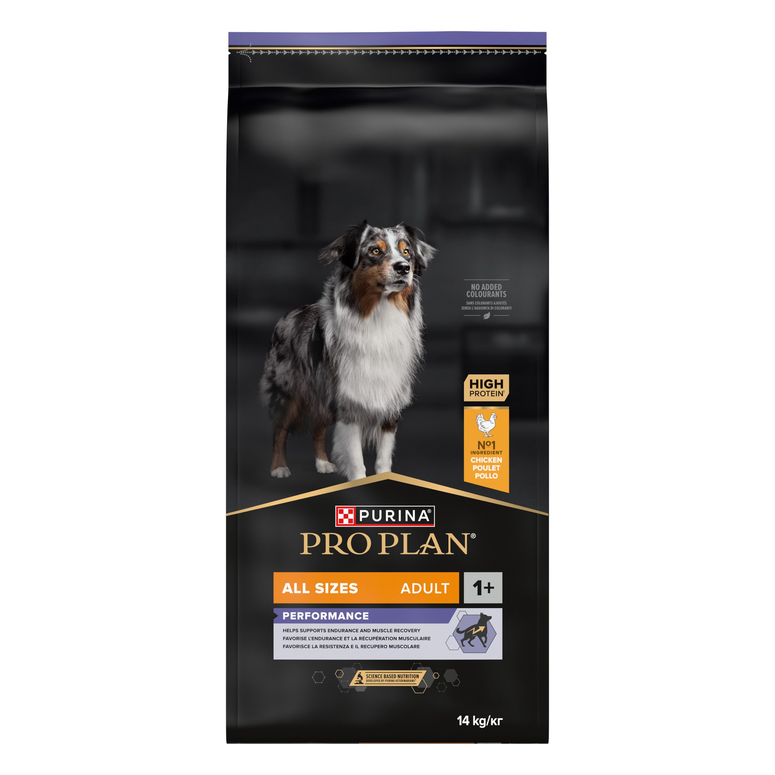 Purina Pro Plan Adult, nourriture pour chiens. Emballage noir avec chien et informations. Contient du poulet.