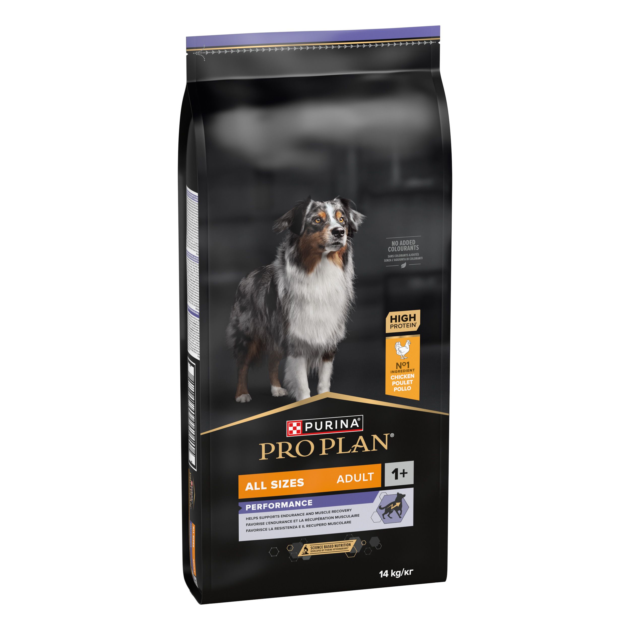 Purina Pro Plan Adult, nourriture pour chiens. Emballage noir avec chien et informations. Contient du poulet.