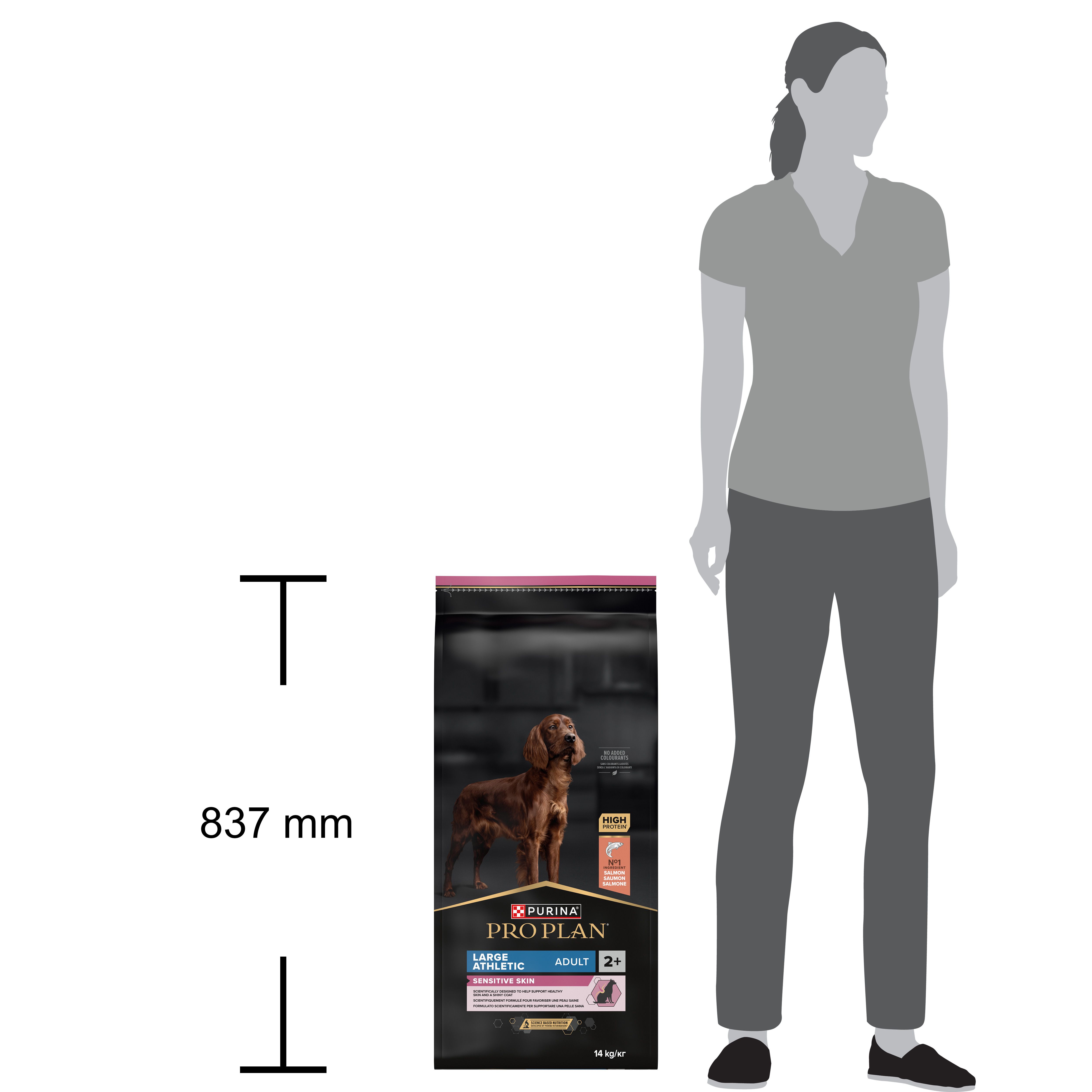 Sac de nourriture pour chiens. Face avec texte et informations. Accent rose. Contient du saumon. 14 kg.