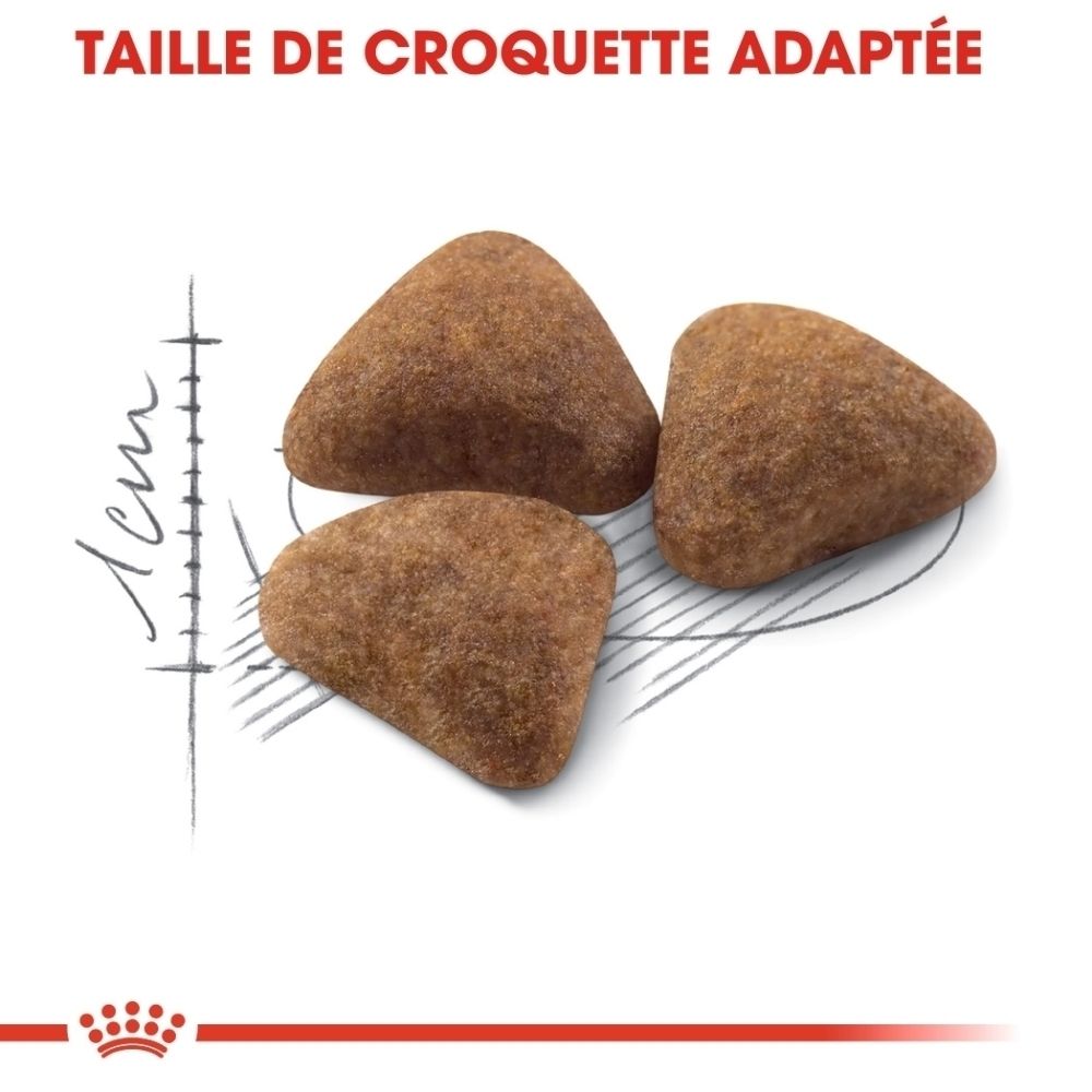 Trois croquettes brunes avec une échelle indiquant 1 cm.