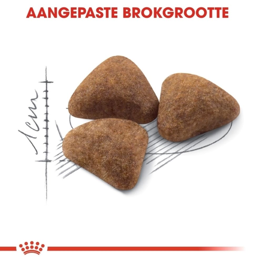 Drie bruine, driehoekige brokken met een schaal die 1 cm aangeeft.
