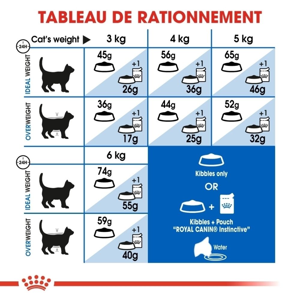 Tableau de rationnement pour chats : indique les recommandations alimentaires selon le poids et la condition.