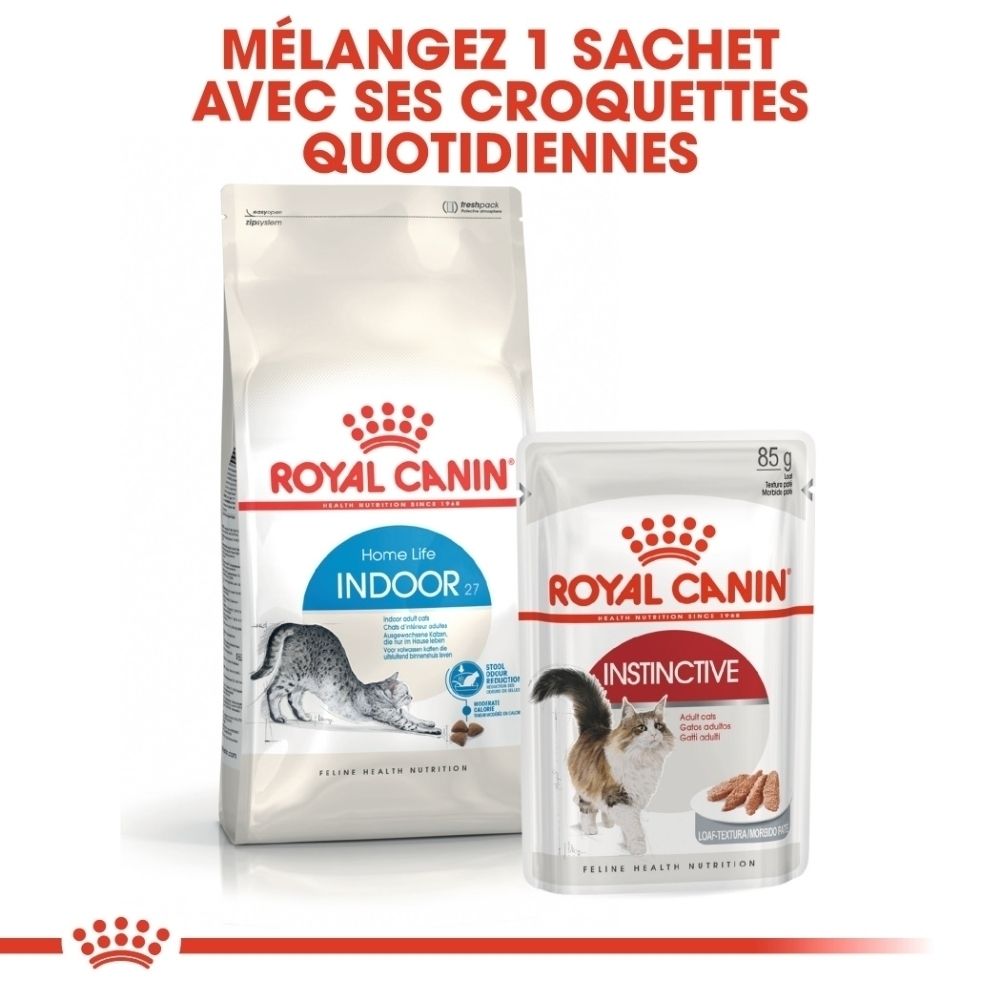 Deux paquets de nourriture pour chat Royal Canin : un grand sac et une pochette plus petite.