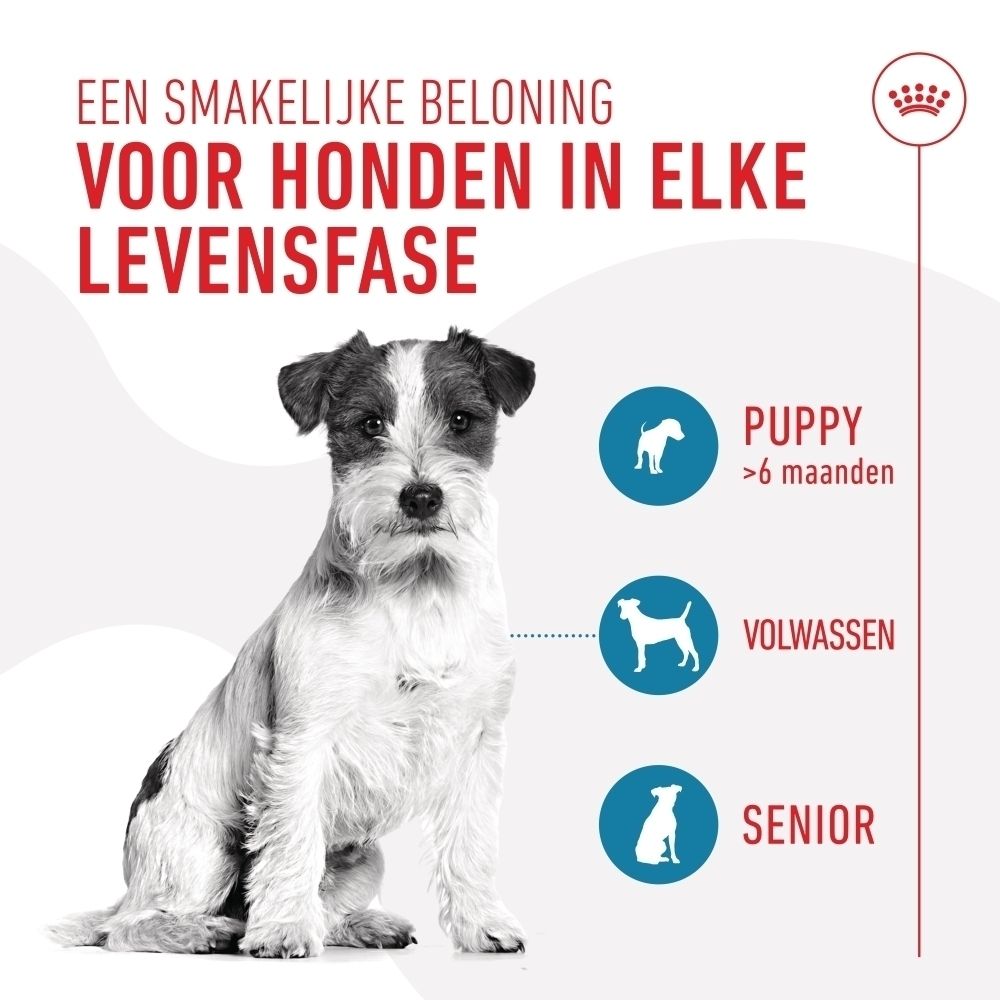 Royal Canin Training Treats: Lekker belonen voor honden van elke leeftijd (puppy, volwassen, senior).