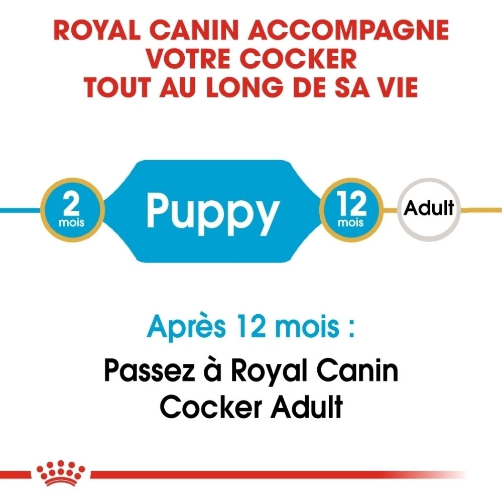 Royal Canin BHN Cocker Puppy : Croquettes spécialement conçues pour les chiots Cocker.