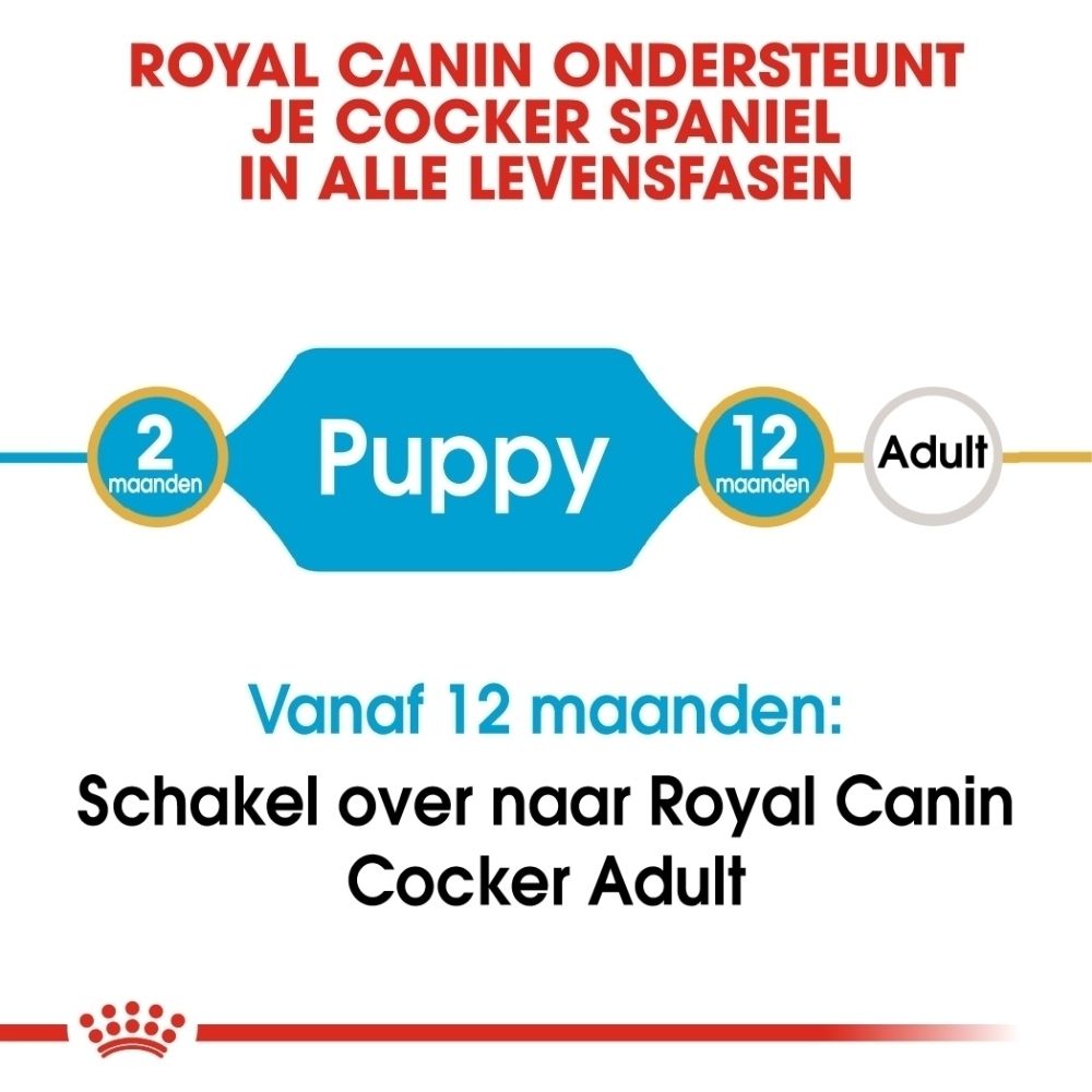 Royal Canin BHN Cocker Puppy: Speciaal ontwikkelde brokken voor Cocker puppy's.