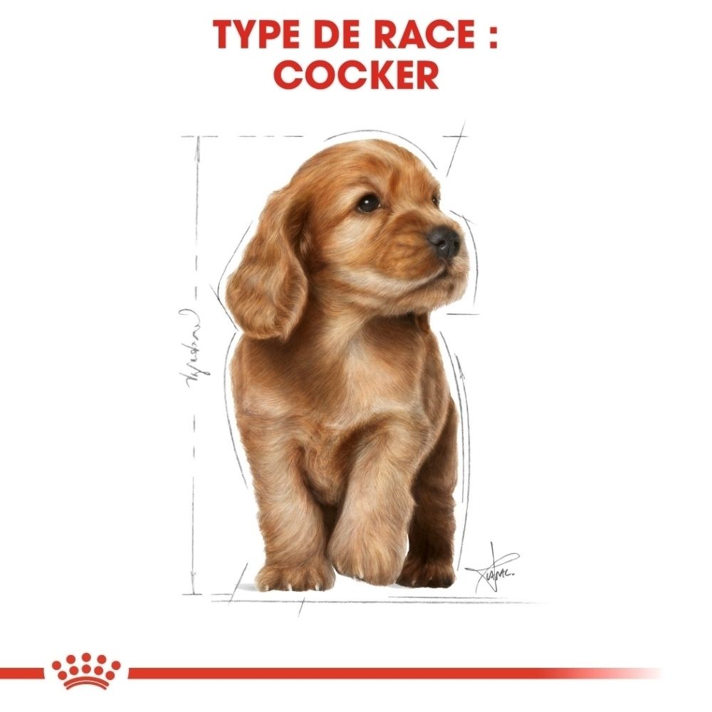 Royal Canin BHN Cocker Puppy : Constituants analytiques et composition de l'alimentation pour chiens.