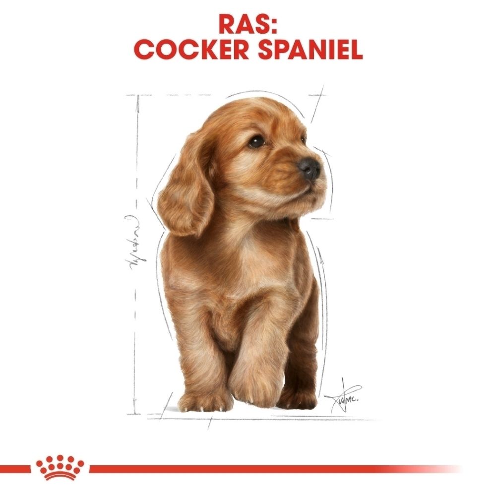 Royal Canin BHN Cocker Puppy: Analytische bestanddelen en samenstelling van het hondenvoer.
