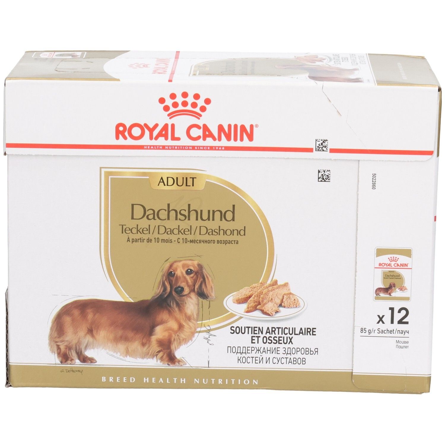 Royal Canin Dashond Adult voerbox, 12 zakjes, focus op productafbeelding.