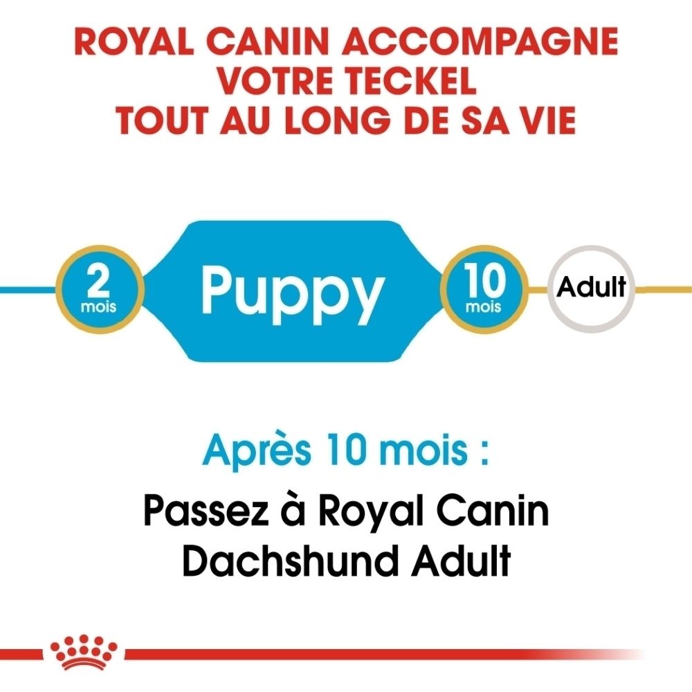 Vue détaillée d'une croquette Royal Canin pour chiot Teckel. 'Croquette sur-mesure' et 'Soutien du système immunitaire'.