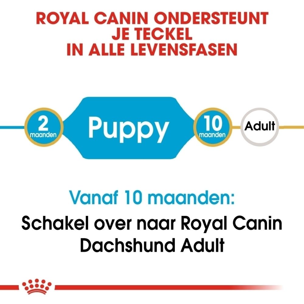 Gedetailleerde weergave van een Royal Canin brok voor Dashond puppy's. 'Specifiek afgestemde brok' en 'Ondersteunt de natuurlijke afweer'.