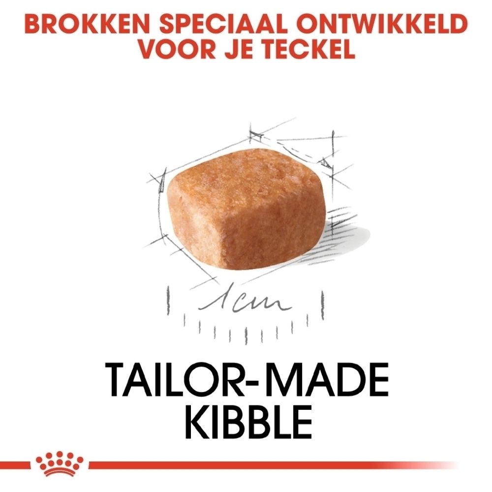 Voorkant van een zak Royal Canin Dashond Puppy voer, 1,5 kg. Toont een Dashond puppy en de tekst 'Puppy Dachshund'.