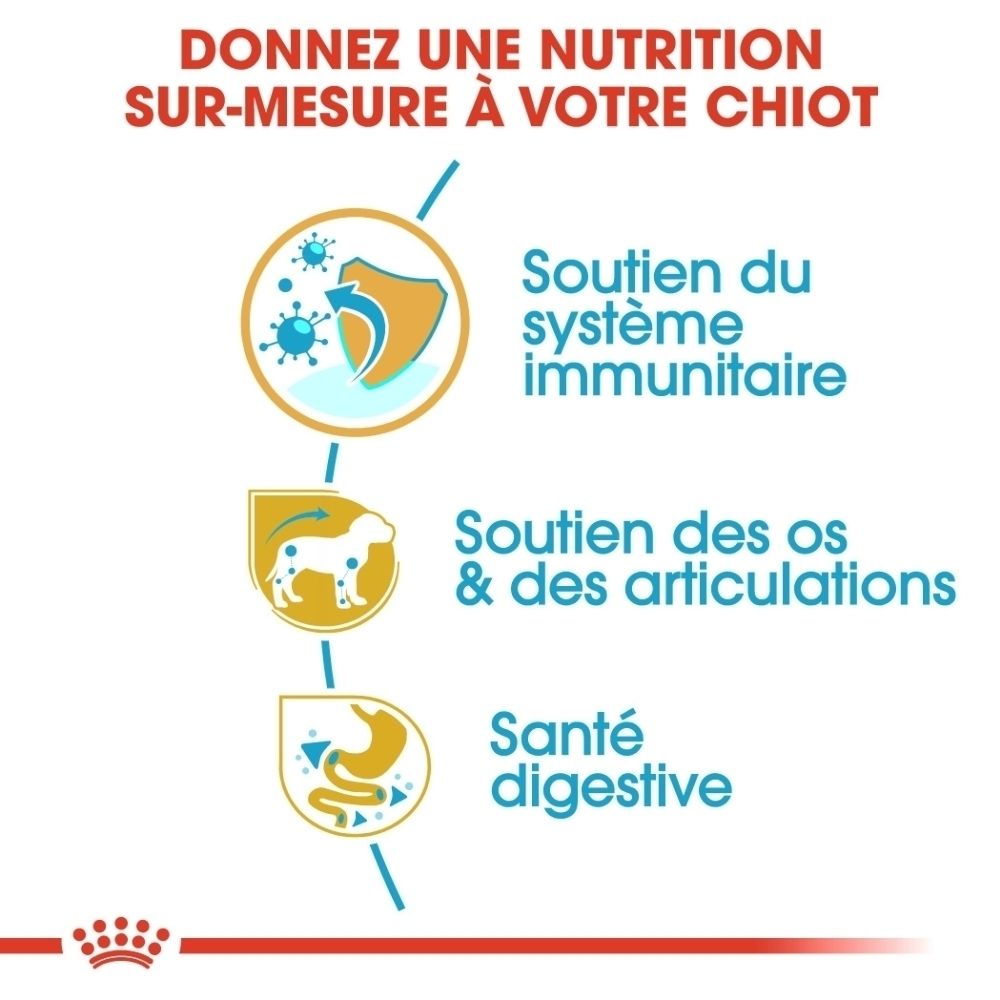 Graphique Royal Canin montrant les stades de vie d'un Teckel : chiot (2-10 mois) et adulte.