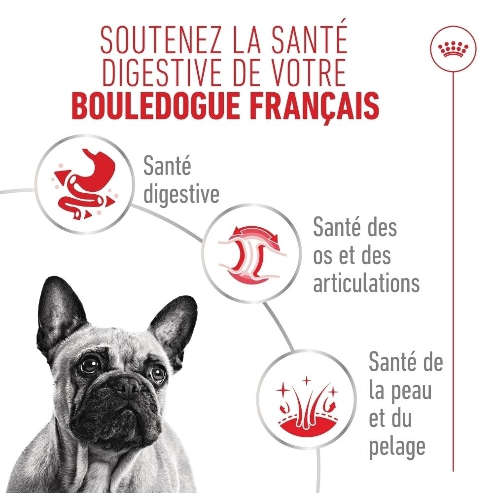 Bouledogue français avec icônes pour la digestion, les os et articulations, la peau et le pelage.