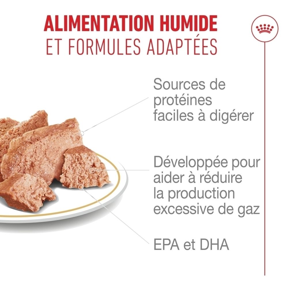 Nourriture humide en morceaux sur une assiette, avec indications sur les protéines digestes, EPA et DHA.