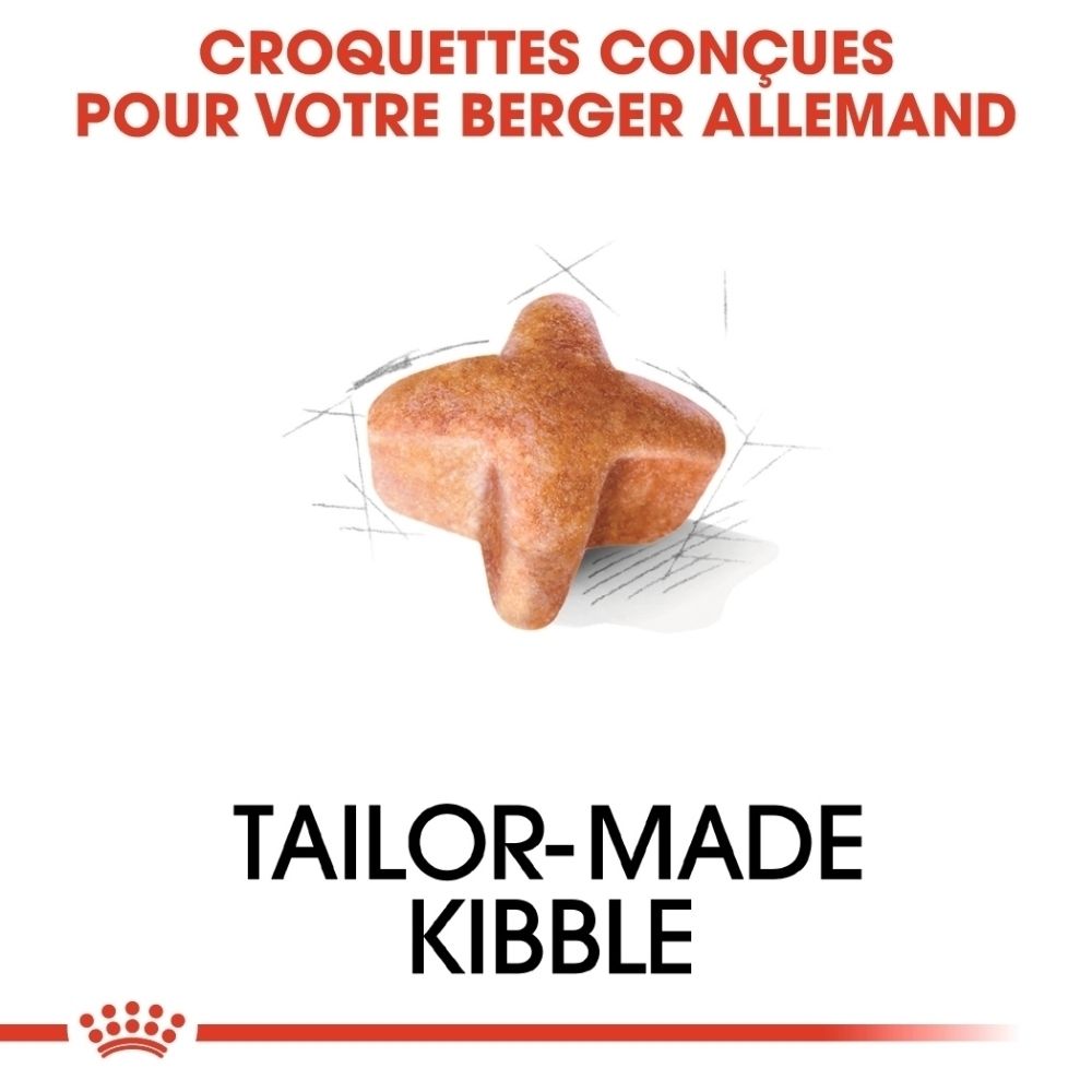 Un seul morceau de croquette en forme d'étoile pour chien.
