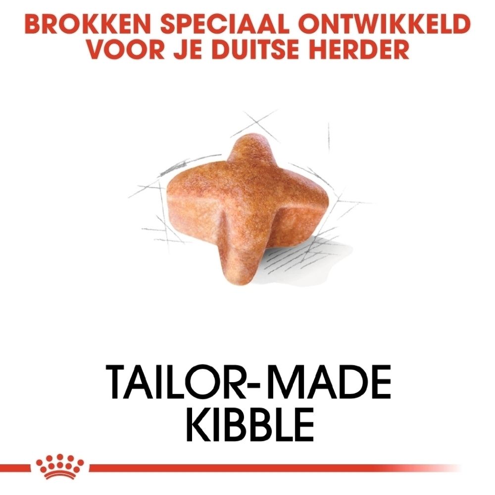 Een enkele, stervormige hondenbrok, beige van kleur.