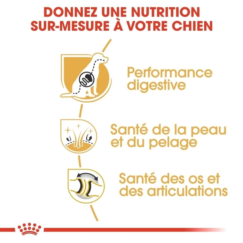 Trois icônes : Performance digestive, santé de la peau et du pelage, santé des os et des articulations.