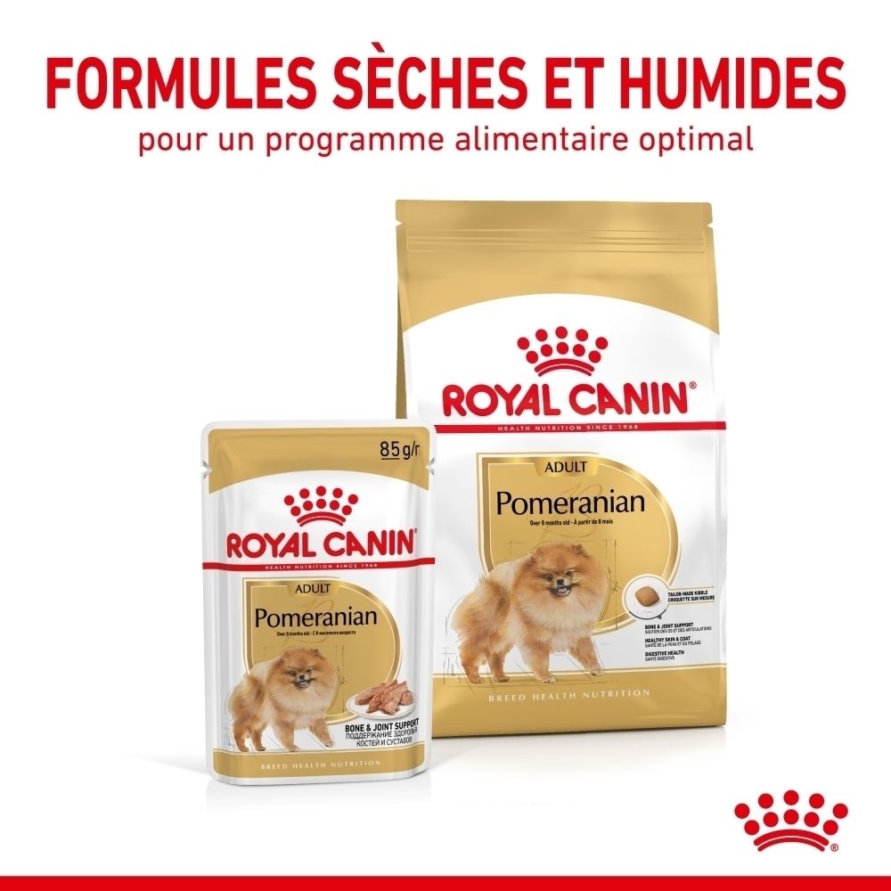 Een Pomeranian hond met iconen voor gezonde huid en gewrichtsondersteuning.