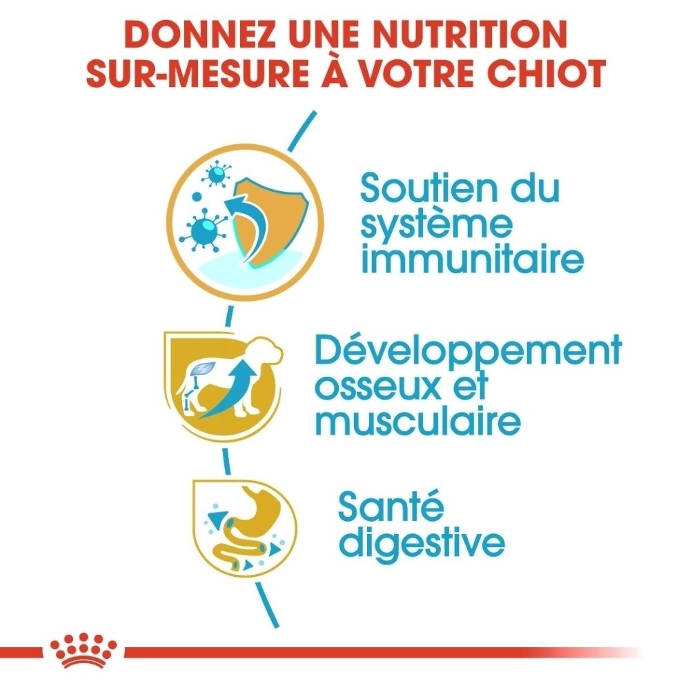 Graphique sur le passage de Royal Canin Rottweiler Puppy à Adult, avec indications d'âge.