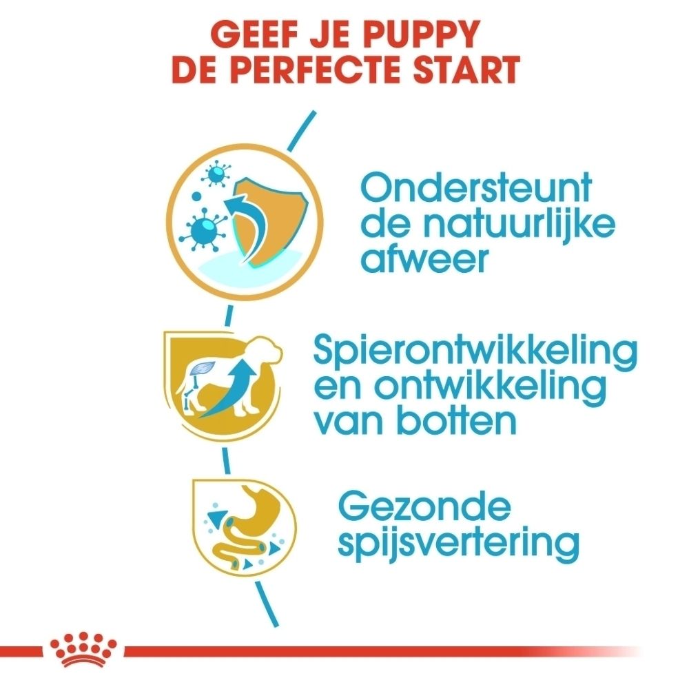 Voorkant van een Royal Canin Rottweiler Puppy voerzak met afbeelding van een puppy en aanwijzingen voor rasspecifieke voeding.