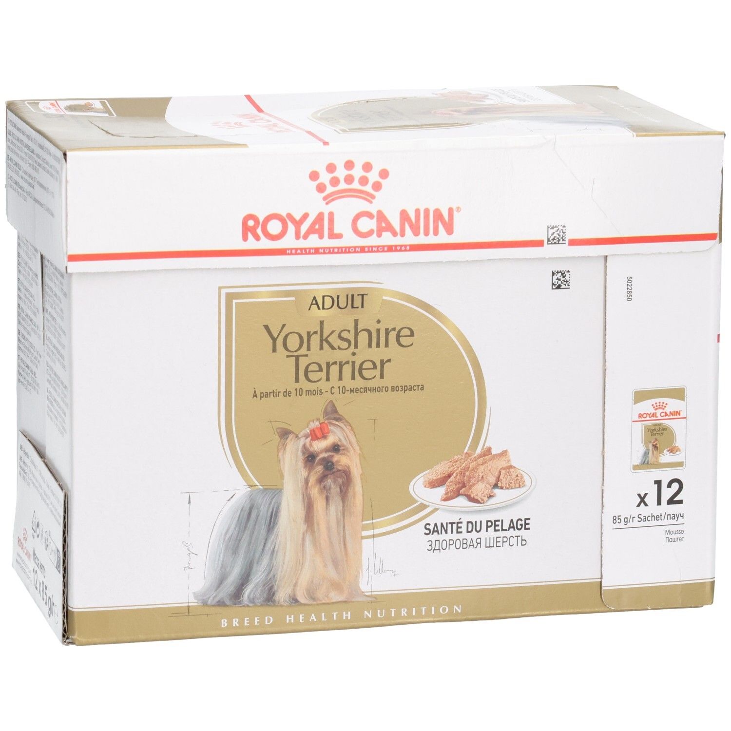 Royal Canin Yorkshire Terrier Adult Multipack, schuine vooraanzicht met hond.