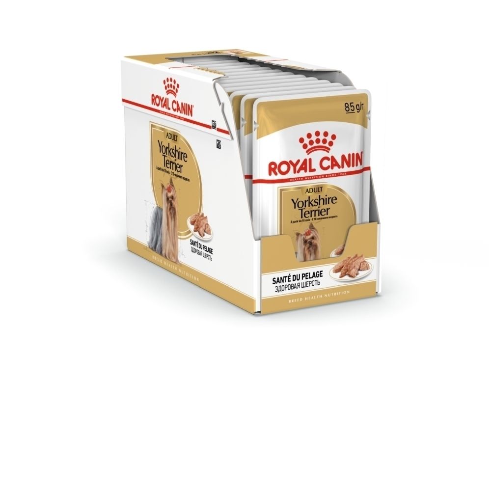 Présentoir de nourriture Royal Canin Yorkshire Terrier avec 12 sachets.