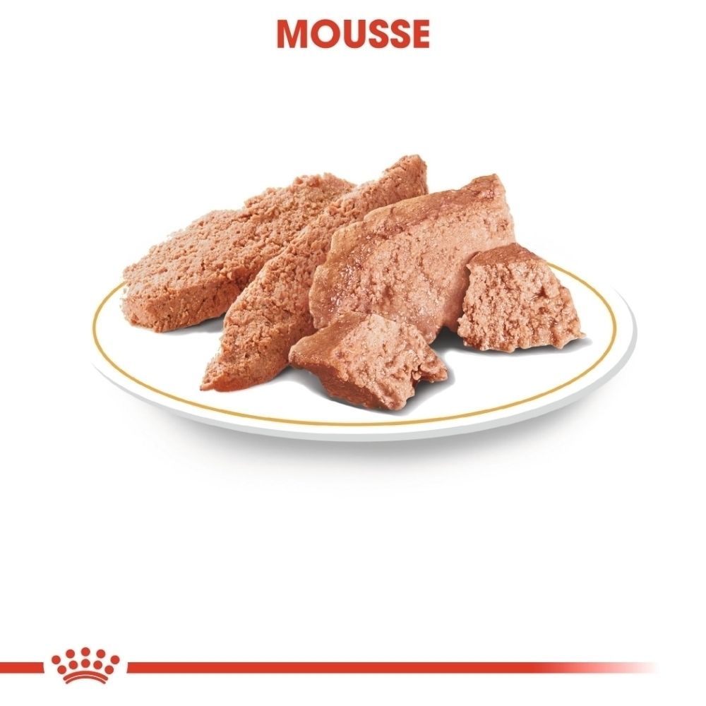 Mousse de viande sur une assiette avec un bord jaune.