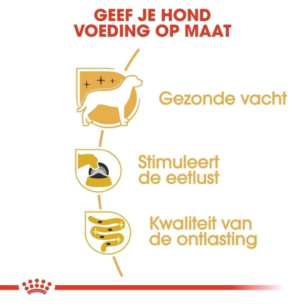 Grafiek met drie iconen: hond voor gezonde vacht, voer voor eetluststimulatie, darmen voor ontlastingskwaliteit. Titel: Voeding op maat voor honden.