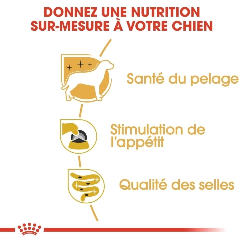 Graphique avec trois icônes : chien pour la santé du pelage, main avec nourriture pour la stimulation de l'appétit, intestin pour la qualité des selles. Texte : Nutrition sur mesure pour votre chien.