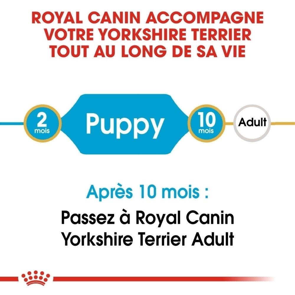 Nourriture Royal Canin Yorkshire Terrier Puppy. Face avant avec informations sur la nutrition par phase de vie.