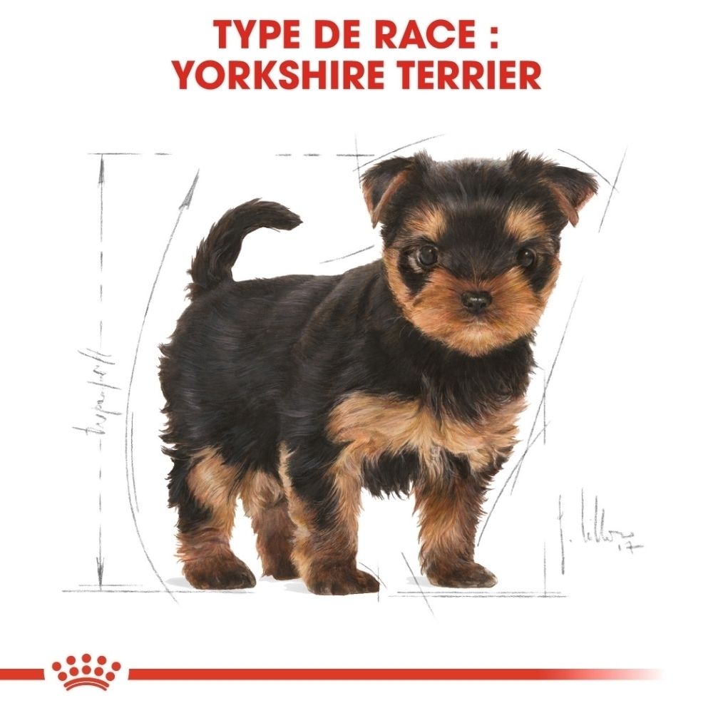 Nourriture Royal Canin Yorkshire Terrier Puppy. Face avant avec illustration d'un chiot Yorkshire Terrier.