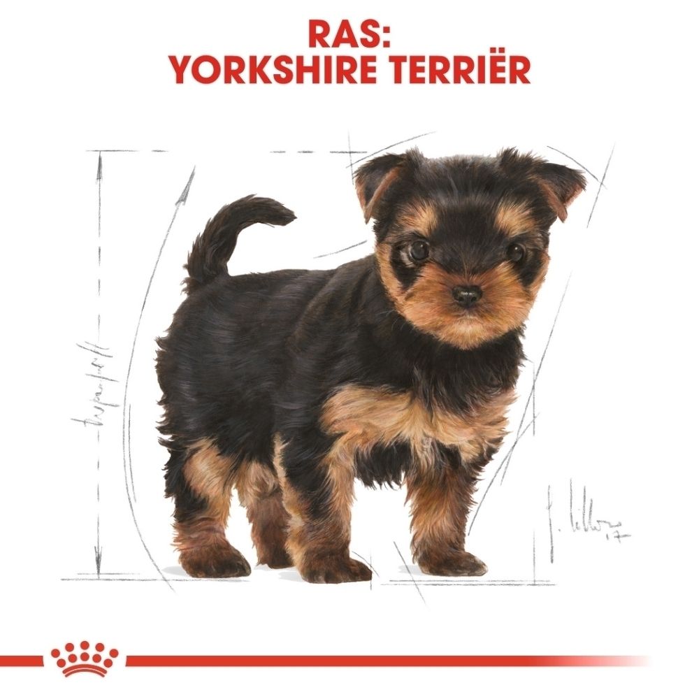 Royal Canin Yorkshire Terrier Puppy hondenvoer. Voorkant met illustratie van een Yorkshire Terrier puppy.