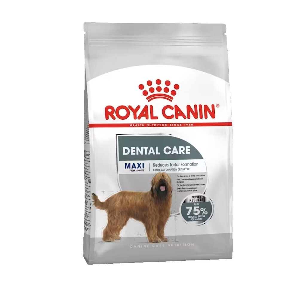 Royal Canin Maxi Dental Care hondenvoer zak met afbeelding van hond en productinformatie.