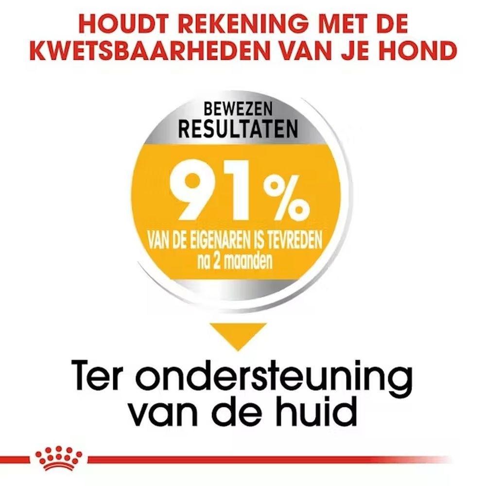 Close-up van drie hondenbrokken geformuleerd met actieve voedingsstoffen.