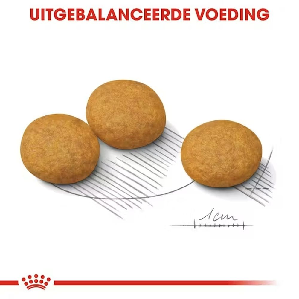 Royal Canin Dermacomfort Medium verpakking, droog- en natvoer.