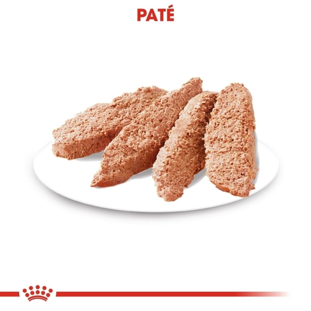 Vier porties paté op een wit bord.