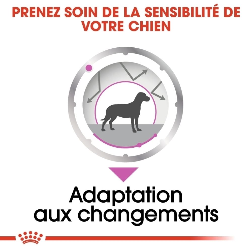 Graphique montrant une silhouette de chien dans un cercle avec des flèches symbolisant l'adaptation aux changements.