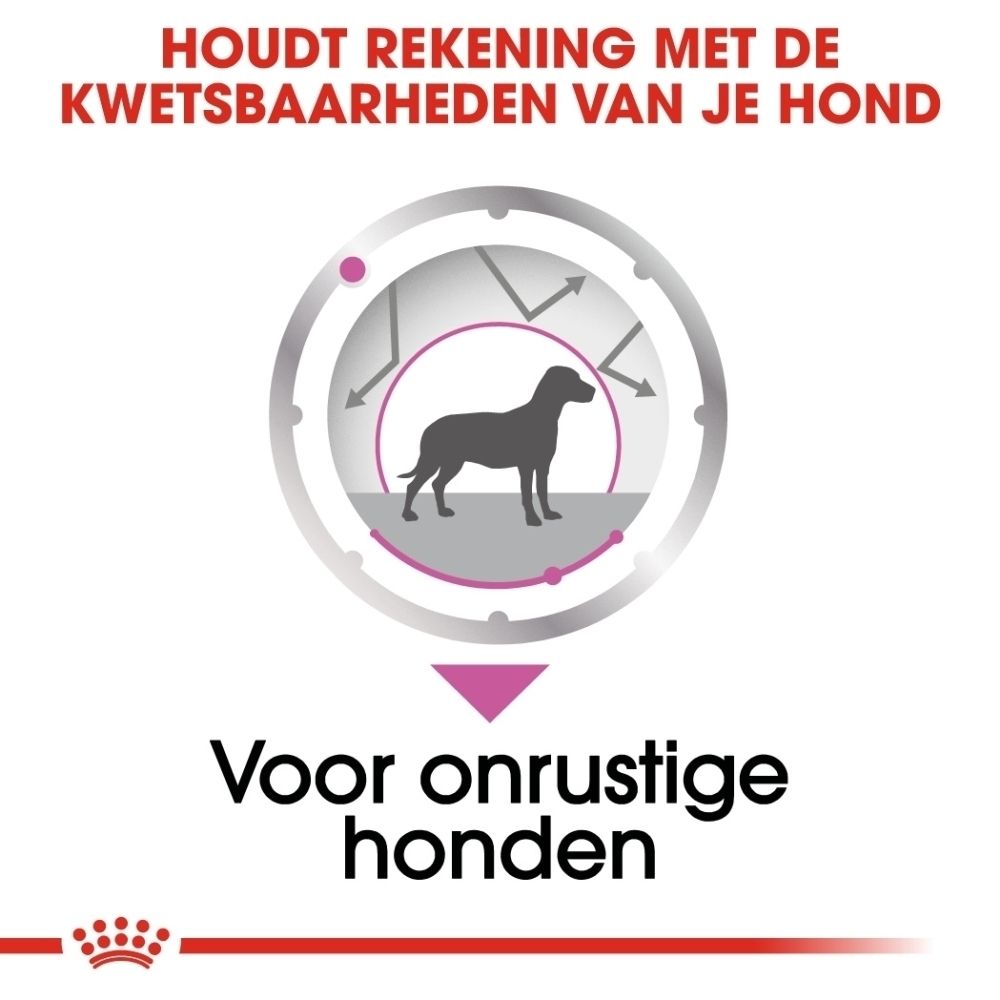 Grafiek met hondensilhouet en diagram dat schommelingen toont. Tekst: "Voor onrustige honden".